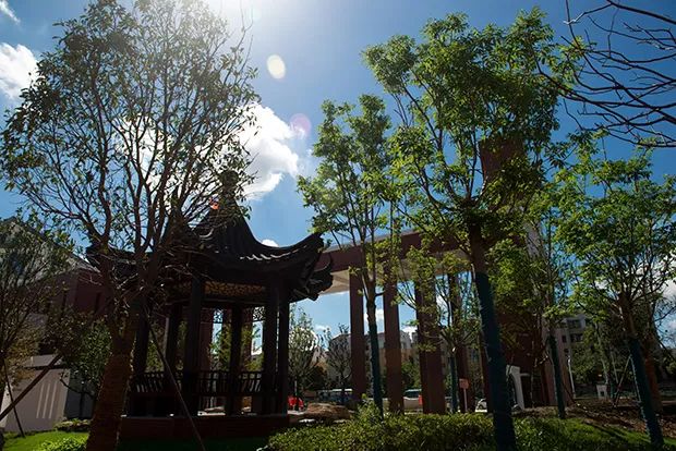 常州三中高中,常州市三中学校简介