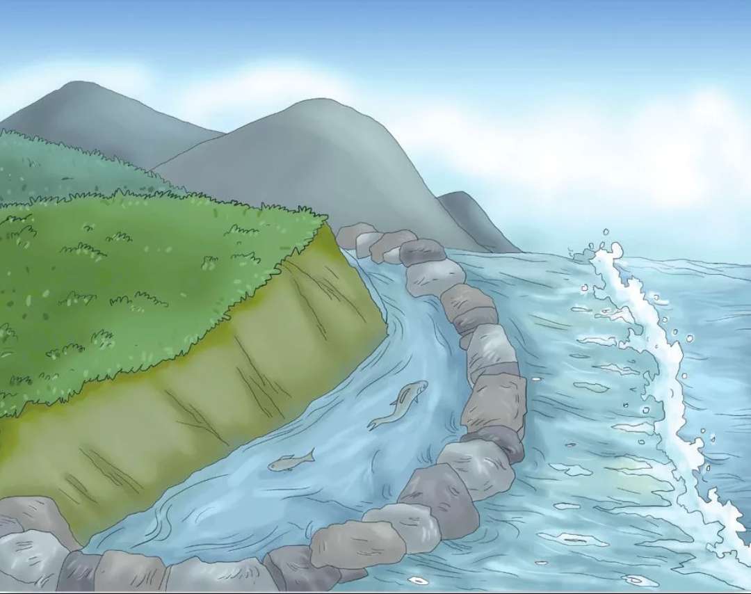 野外救急食物,野外救命技巧和方法