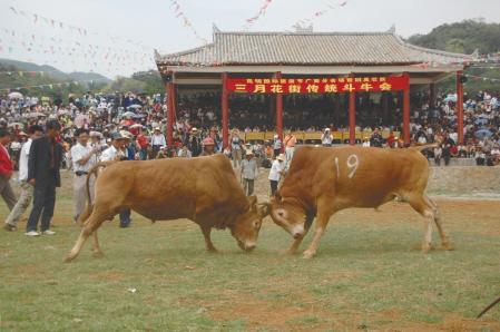 广西崇左介绍 (广西崇左有多少平方公里)