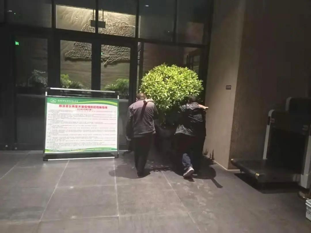 做好服务我们全力以赴,做好绿化养护工作