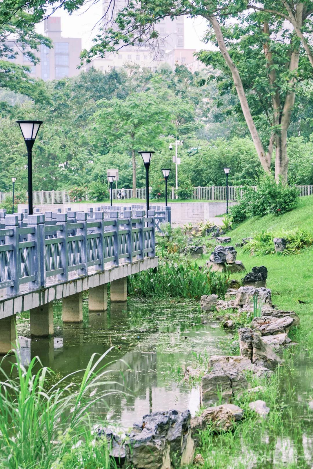 深圳八大绝美公园,山水公园深圳