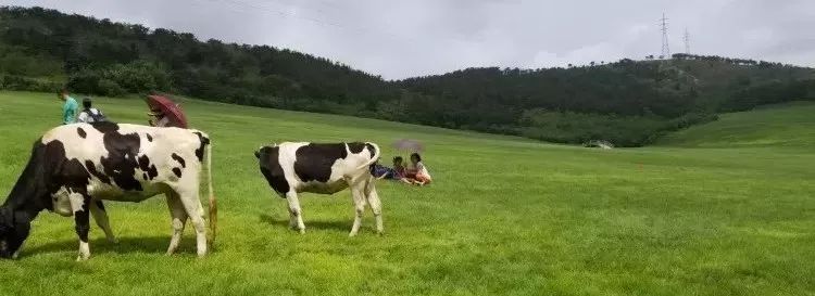大连重阳节旅游攻略,大连九月秋游攻略