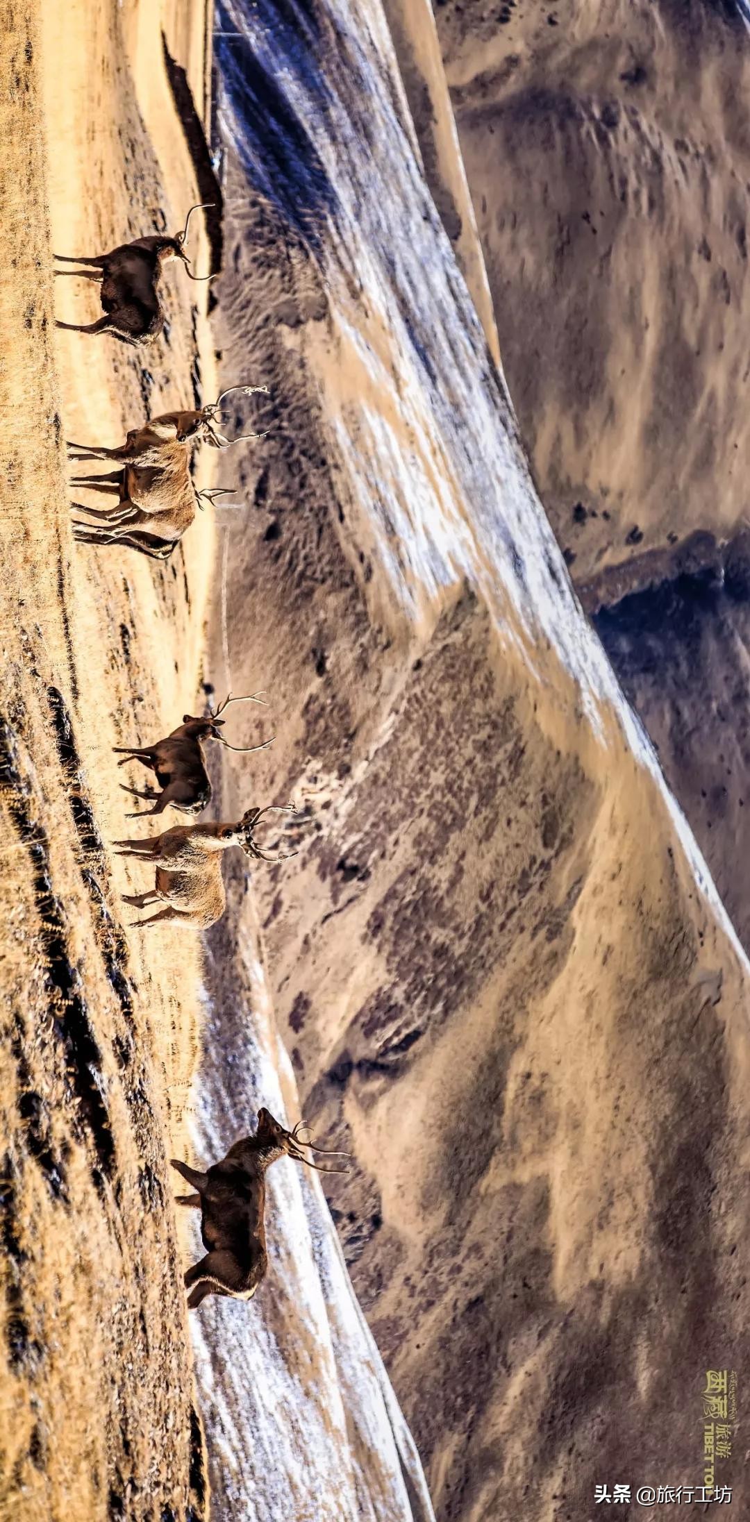 西藏昌都最好玩的是哪个景点,昌都必去十大景点排名