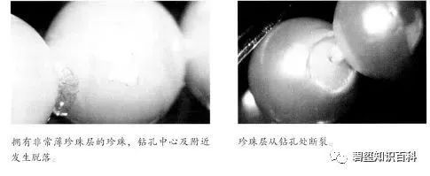 影响珍珠品质和价值的6大因素,你知道吗?