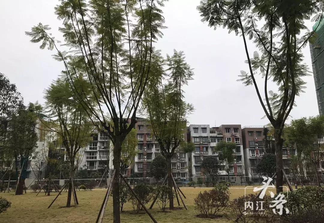 内江花萼湿地公园篮球场,内江体育中心羽毛球场免费