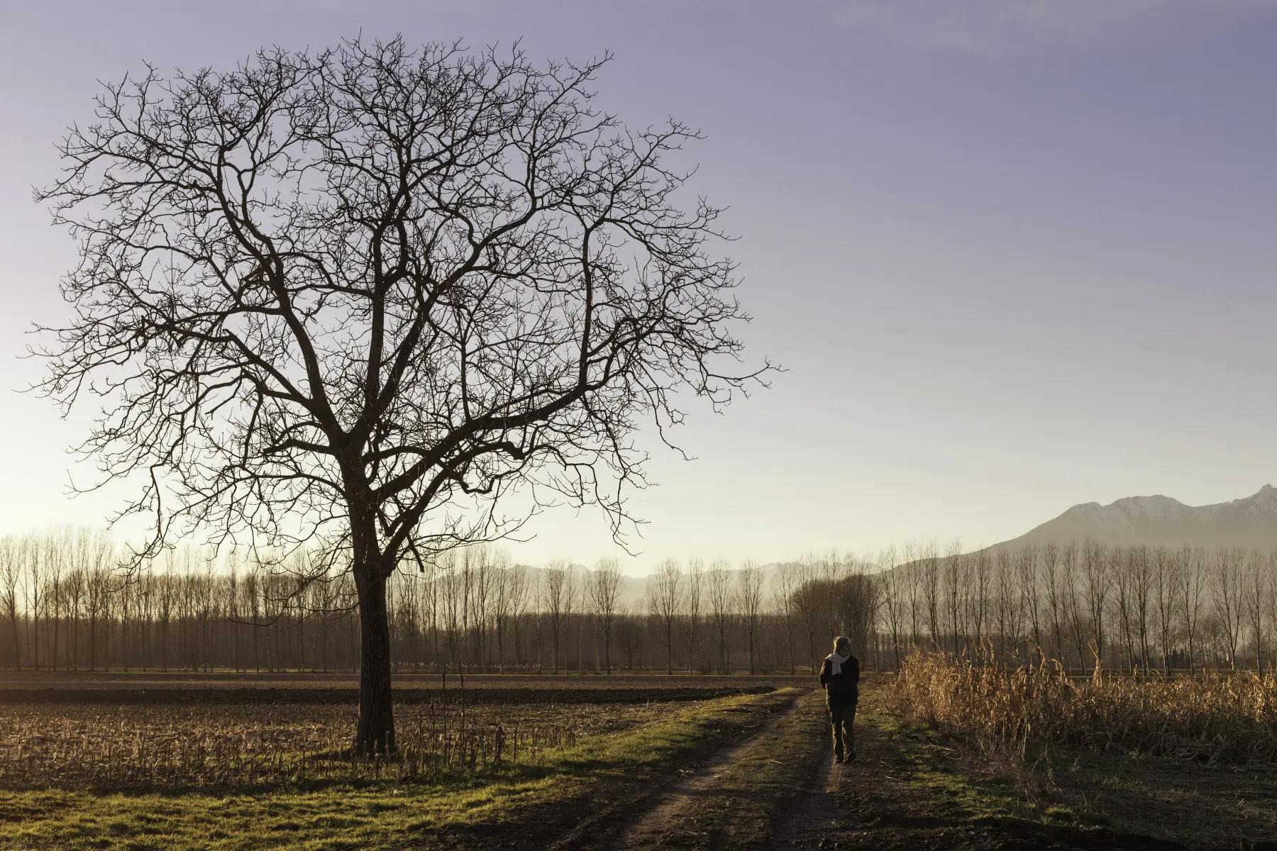 许三观卖血记给现在的生活的启示,许三观卖血记细思极恐