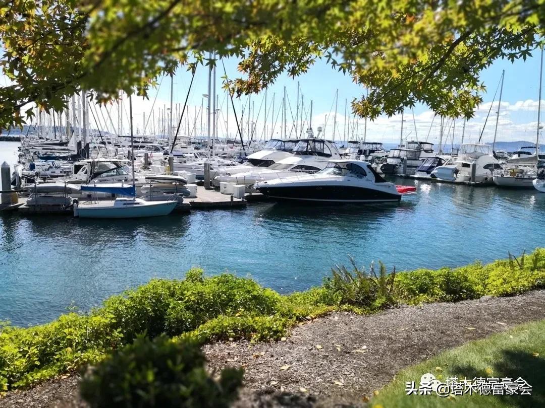 一堆富豪的买房心得：粤港澳大湾区的十大富人区（塔木德财智榜）