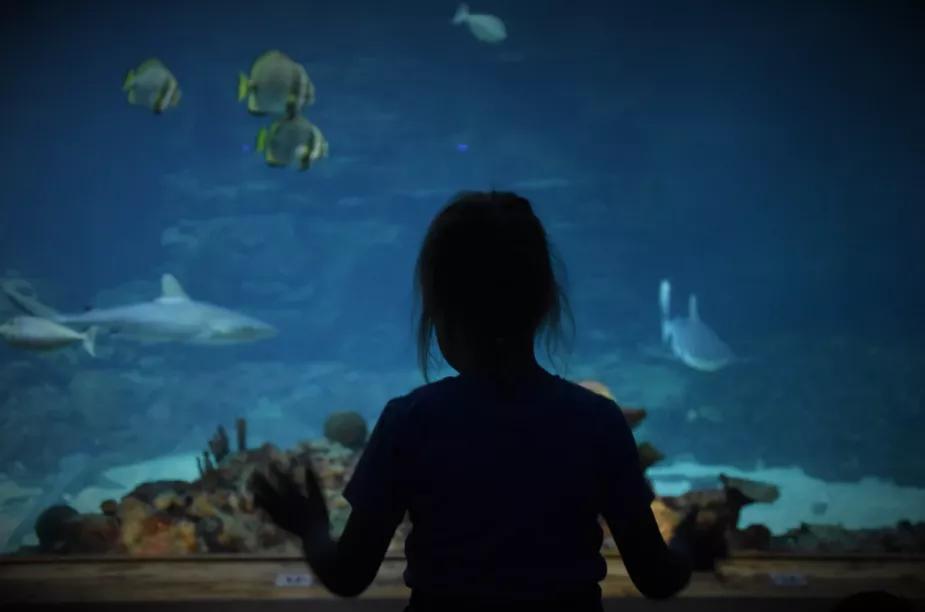 感到挫败感是该继续还是放弃,如何克服挫败感