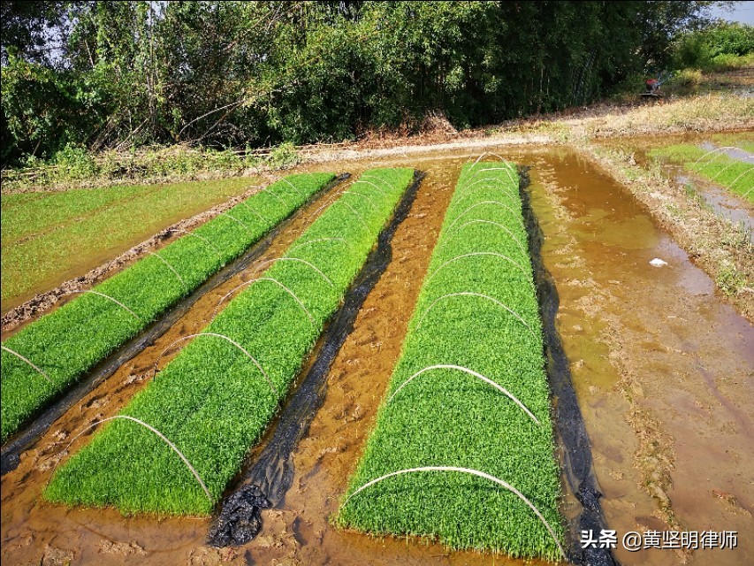 贩卖毒品罪公诉观点,贩卖毒品罪案例典型意义