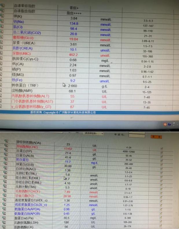 “游走”在全身的油脂,可能随时抢夺你的生命