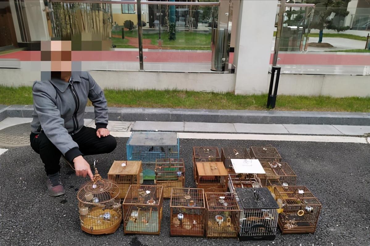 3年杀1.2万只“黄大仙”，被罚960万，其实农民这几种行为也违法