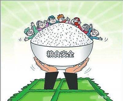 蝗灾过后粮食价格会涨吗,蝗灾囤粮食