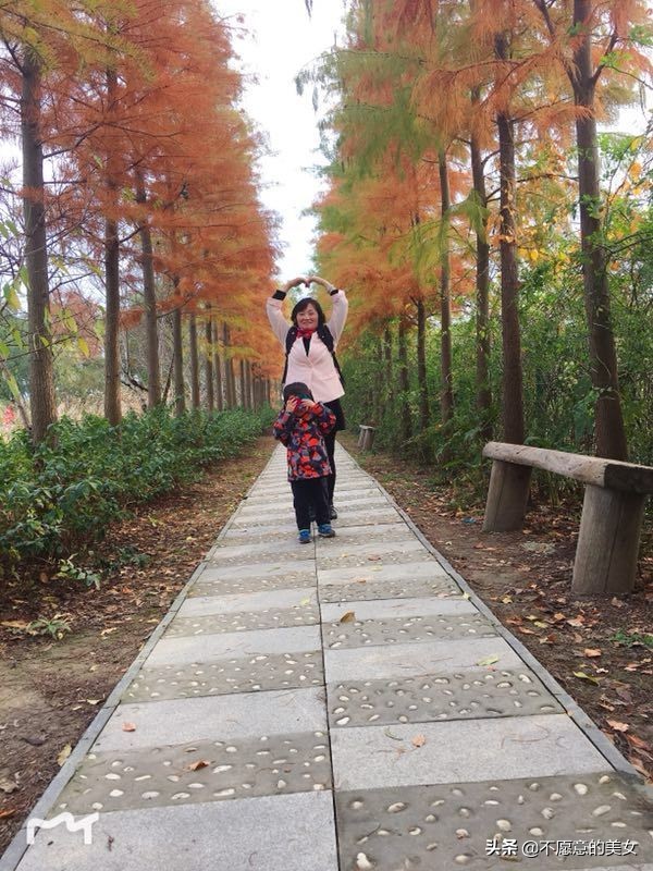 可爱的少妇自拍越来越丰满越来越成熟了