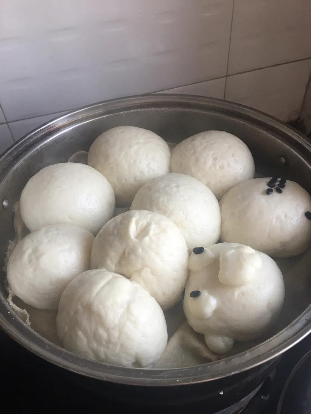 蒸馒头的总结及体会,科学学蒸馒头