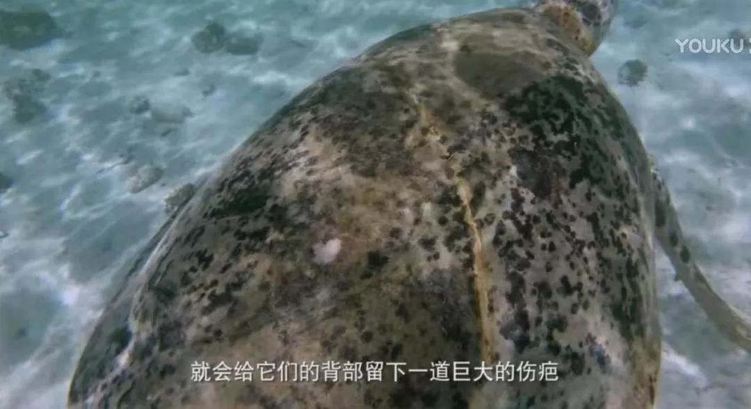 彭于晏我最需要的时候你在哪里,彭于晏我最需要他的时候他在哪里