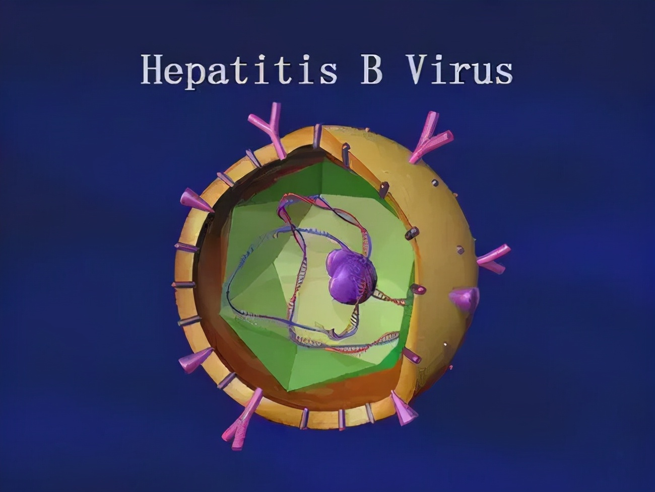 乙肝全球创新药汇总,乙肝在研新药最新消息