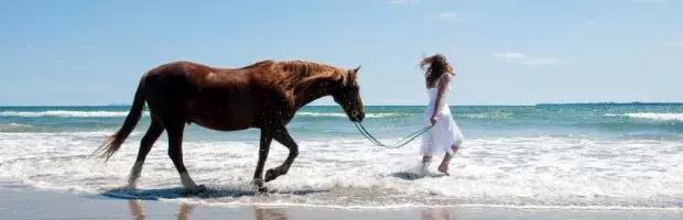 落地签能办理多久,落地签可以逗留多少天