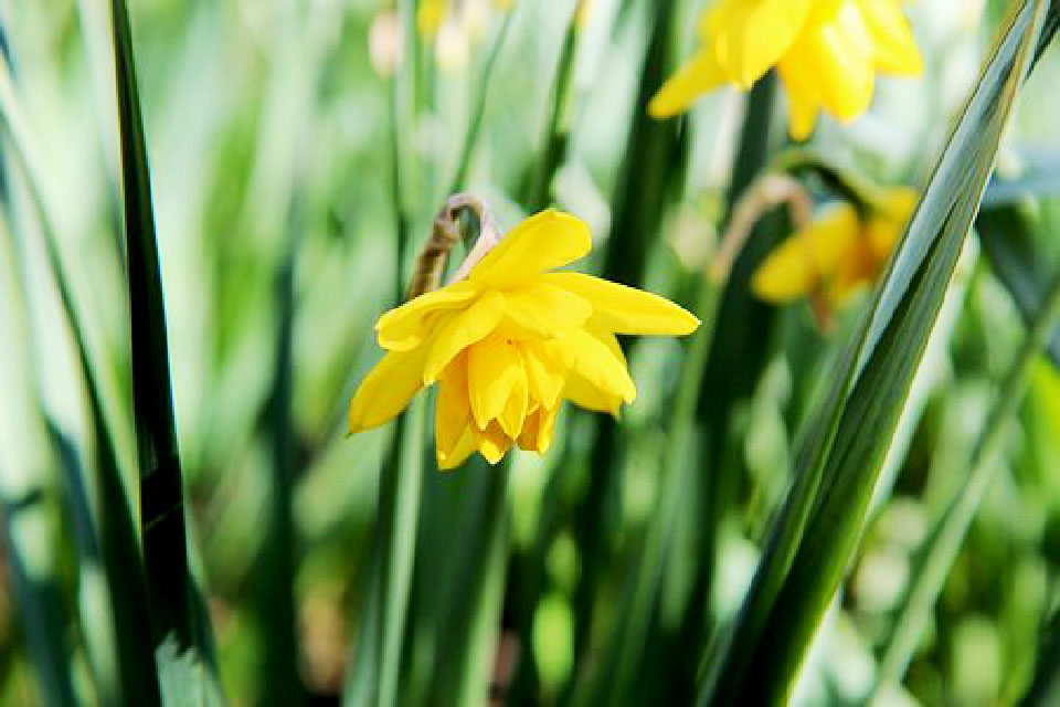 比较饱含深意的个性签名,好的个性签名简短又有意义
