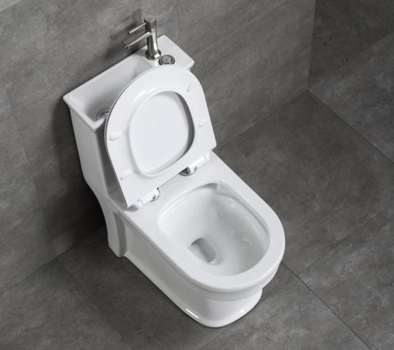 日本马桶连洗手池,日本卫生间马桶