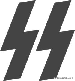 武装*党**卫军：保卫希特勒元首碉堡并坚持到最后的居然是法国人？