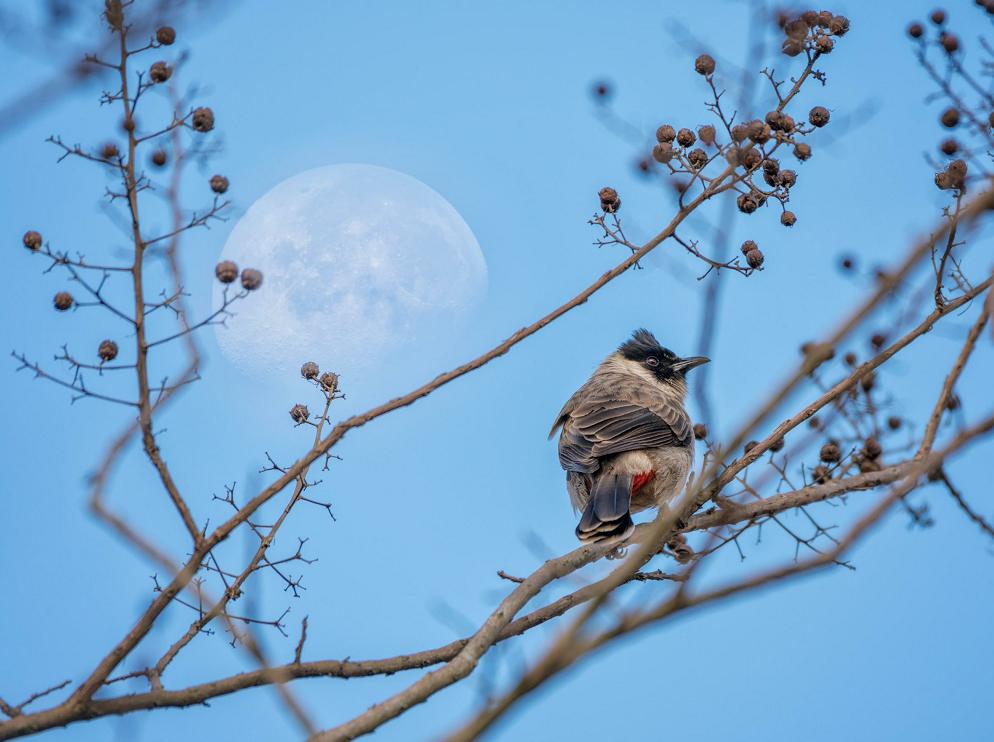 「生态」我在恩平很幸福
