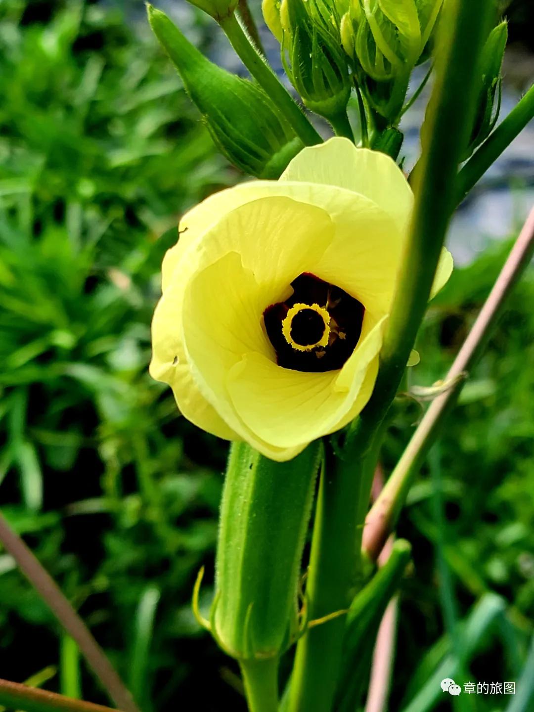 安溪野狼谷风景区,安溪野狼谷徒步