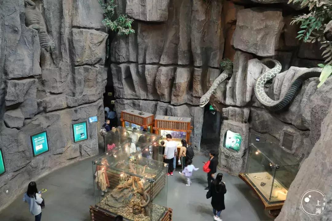 整个上海都是繁华的吗,上海一座美丽的魔都