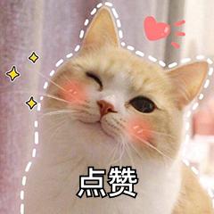 word空白页始终删不掉,word空白页删不掉的几种原因