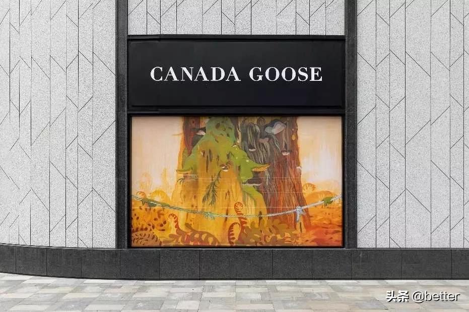 canadagoose羽绒被,canadagoose中文叫什么