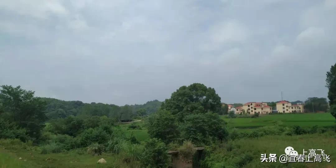 上高县江氏宗祠,江西上高县磻村宗祠