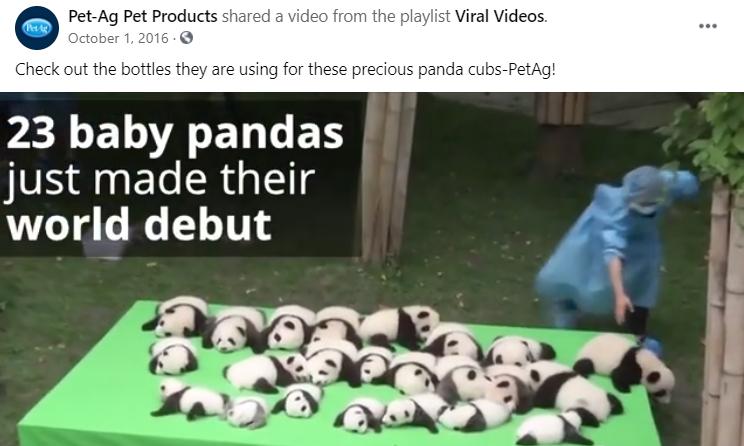 美国一号petag羊奶粉,美国宠物奶粉推荐