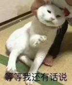世界历史上的著名猫奴,世界三大猫奴