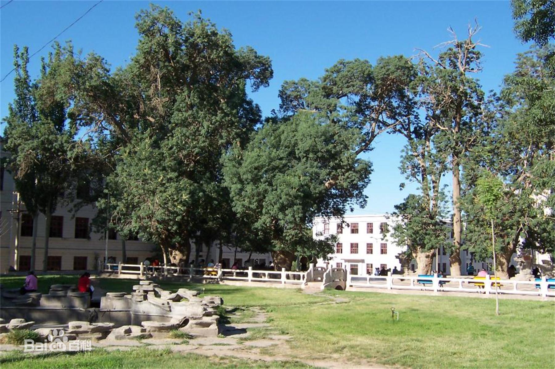 喀什有哪些大学？只有喀什大学一棵独苗，适合哪些考生呢？