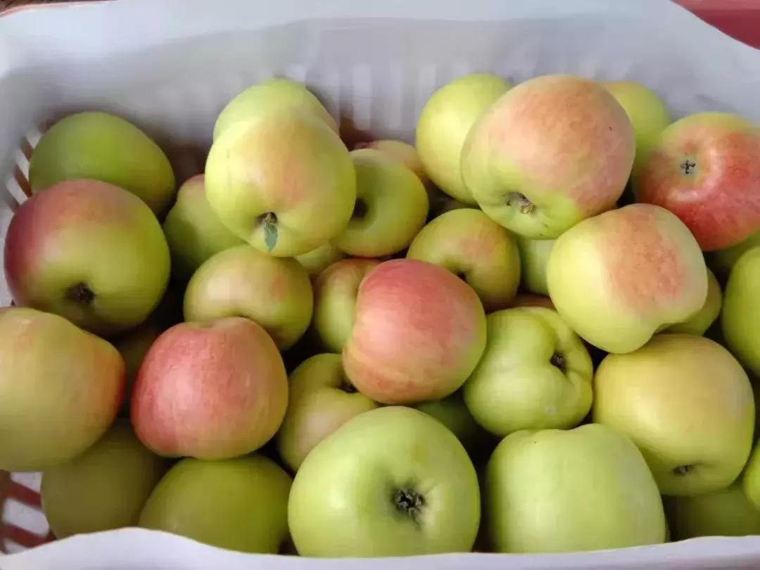 大荔美吗,大荔县的美