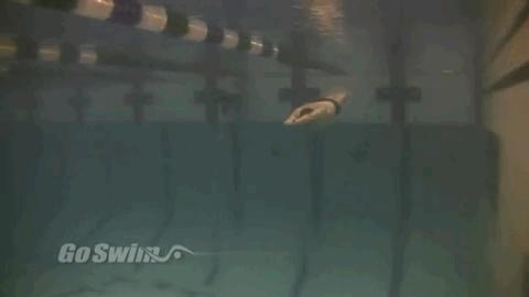 自学游泳怎样让自己游得更专业,游泳爱好者如何成为高手