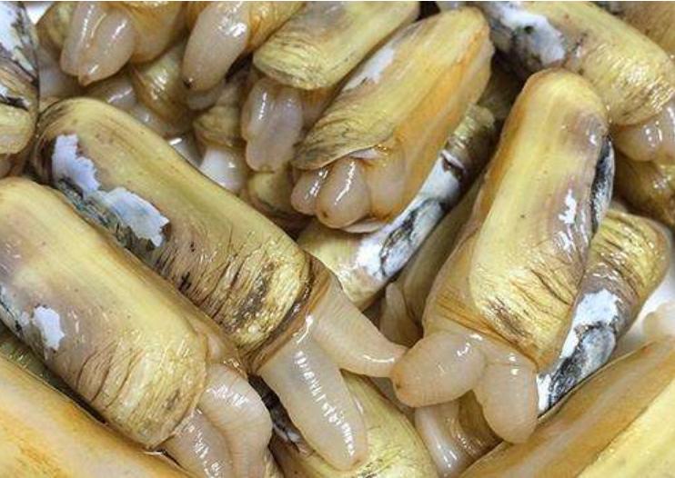 烟台牟平人分不清这些,请走开