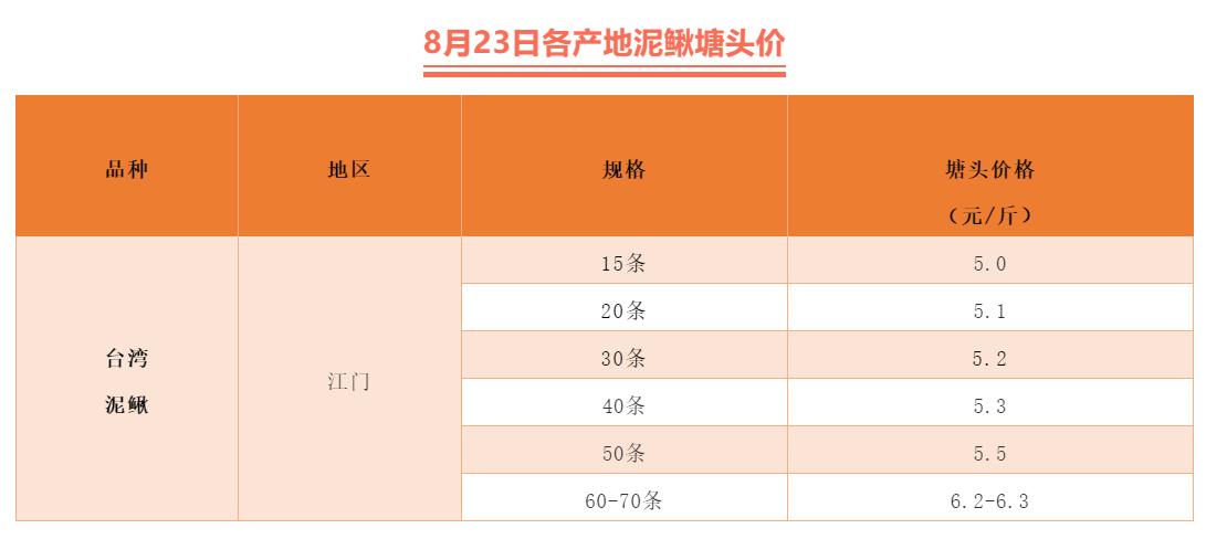 今日鱼鳅价格,鱼鳅价格行情