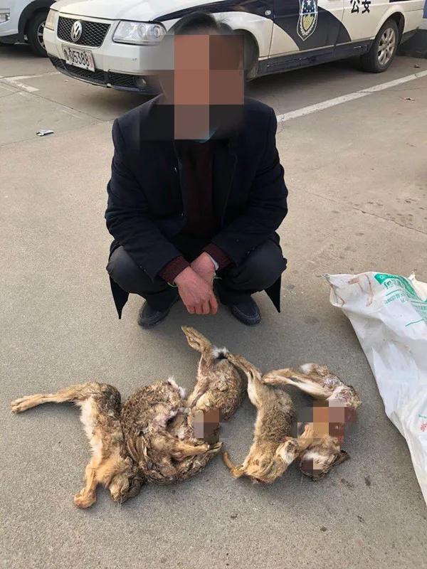 打击野生动物资源违法吗,野生动物资源犯罪专项行动