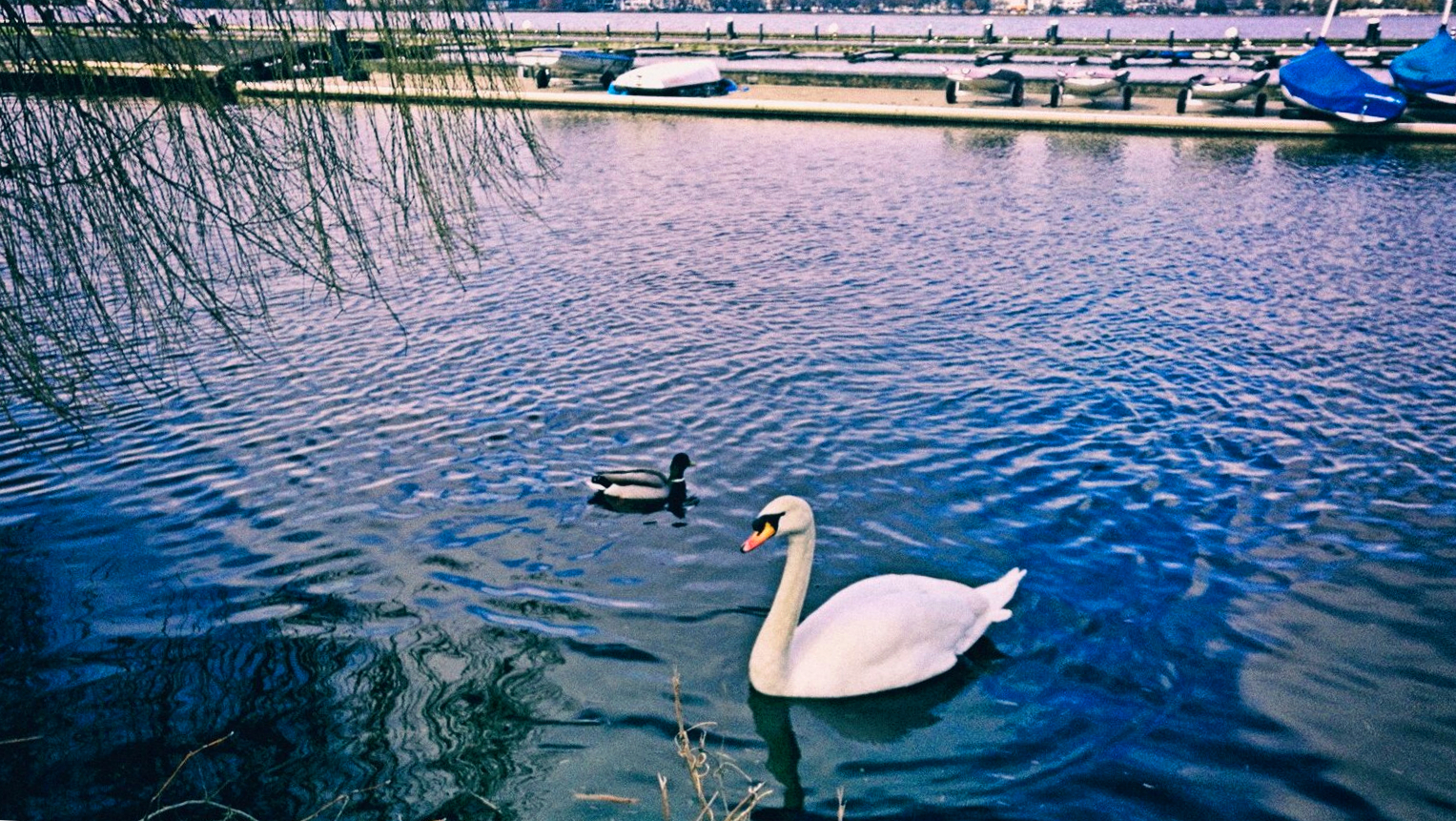 德国汉堡之旅,德国汉堡旅游感受