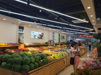 农村种植创业的项目小本生意,农村果树种植可行性