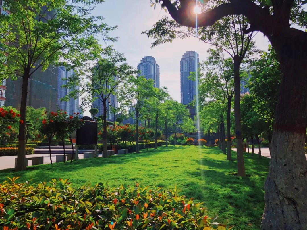 郑州楼市进入新拐点,郑州楼市近十年价格趋势