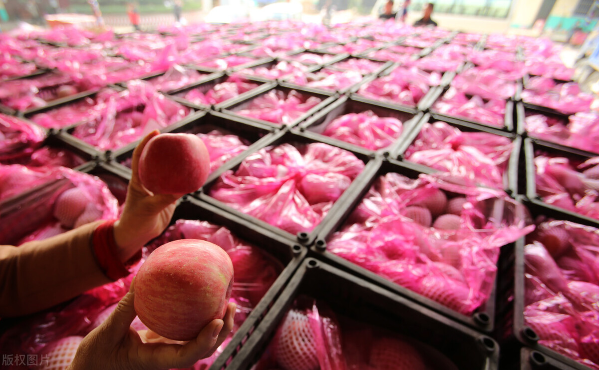 运城市十三县市有哪些,运城十三个县市有哪些