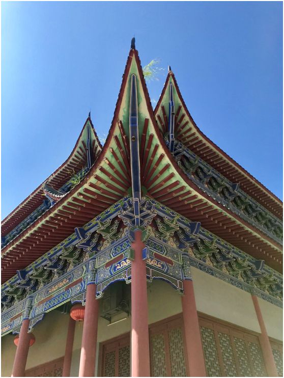 翁源东华地窖酒,韶关翁源赏荞麦花