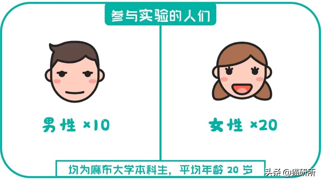 撸猫的好处是什么,撸猫为什么会使人开心