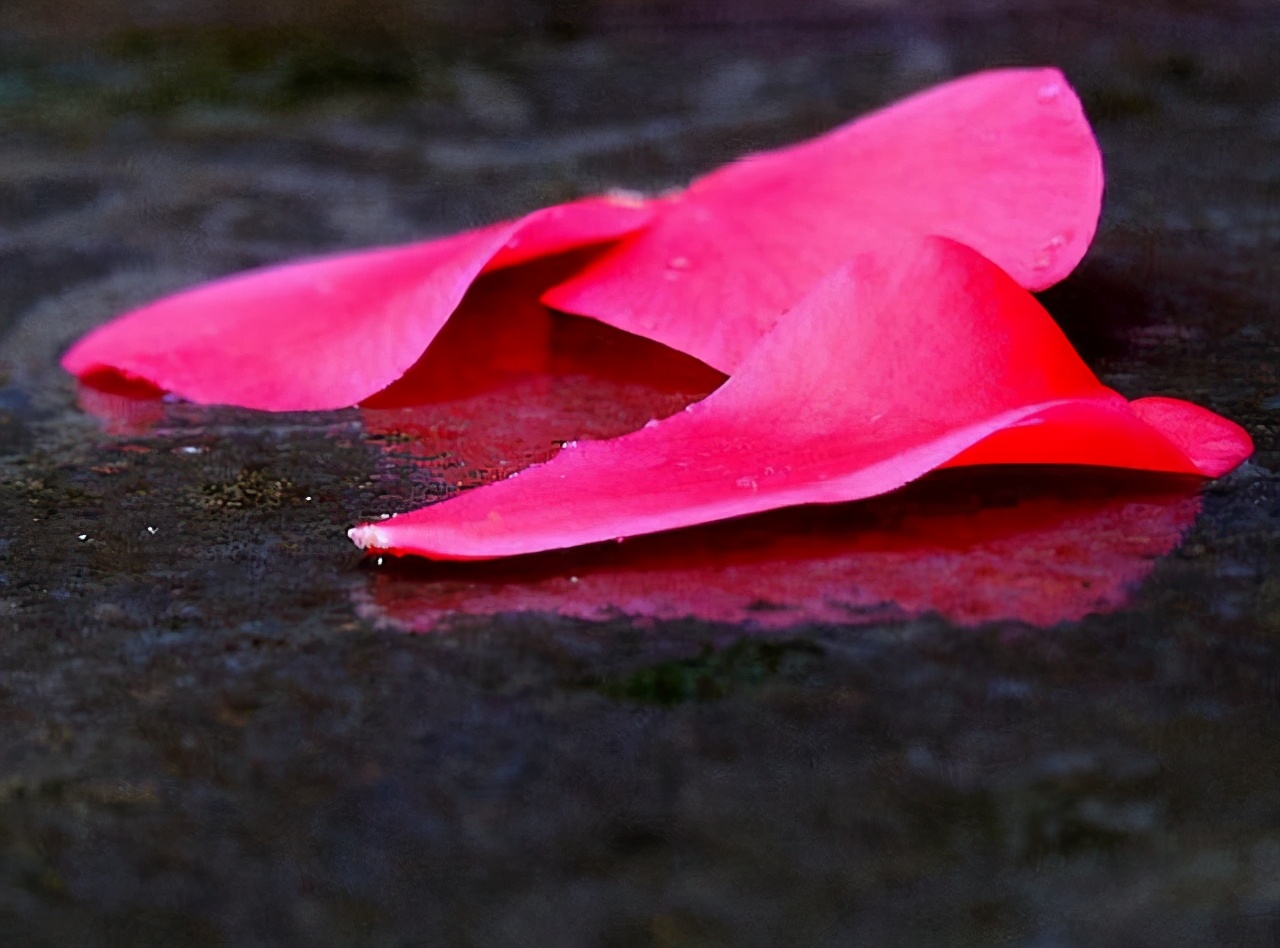 相亲条件不过关是不是就没机会了,去相亲的一般都是条件很差的吗