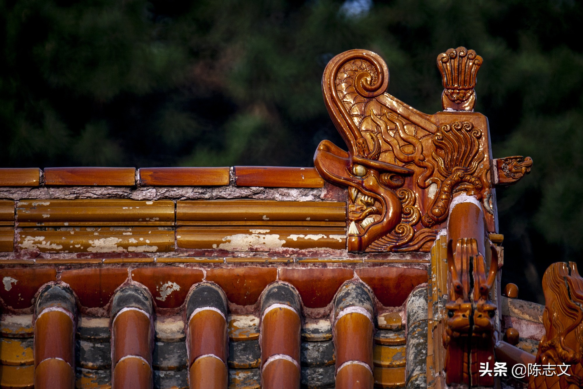 大清皇后娘娘竟然是江南名伎？太狗血了吧