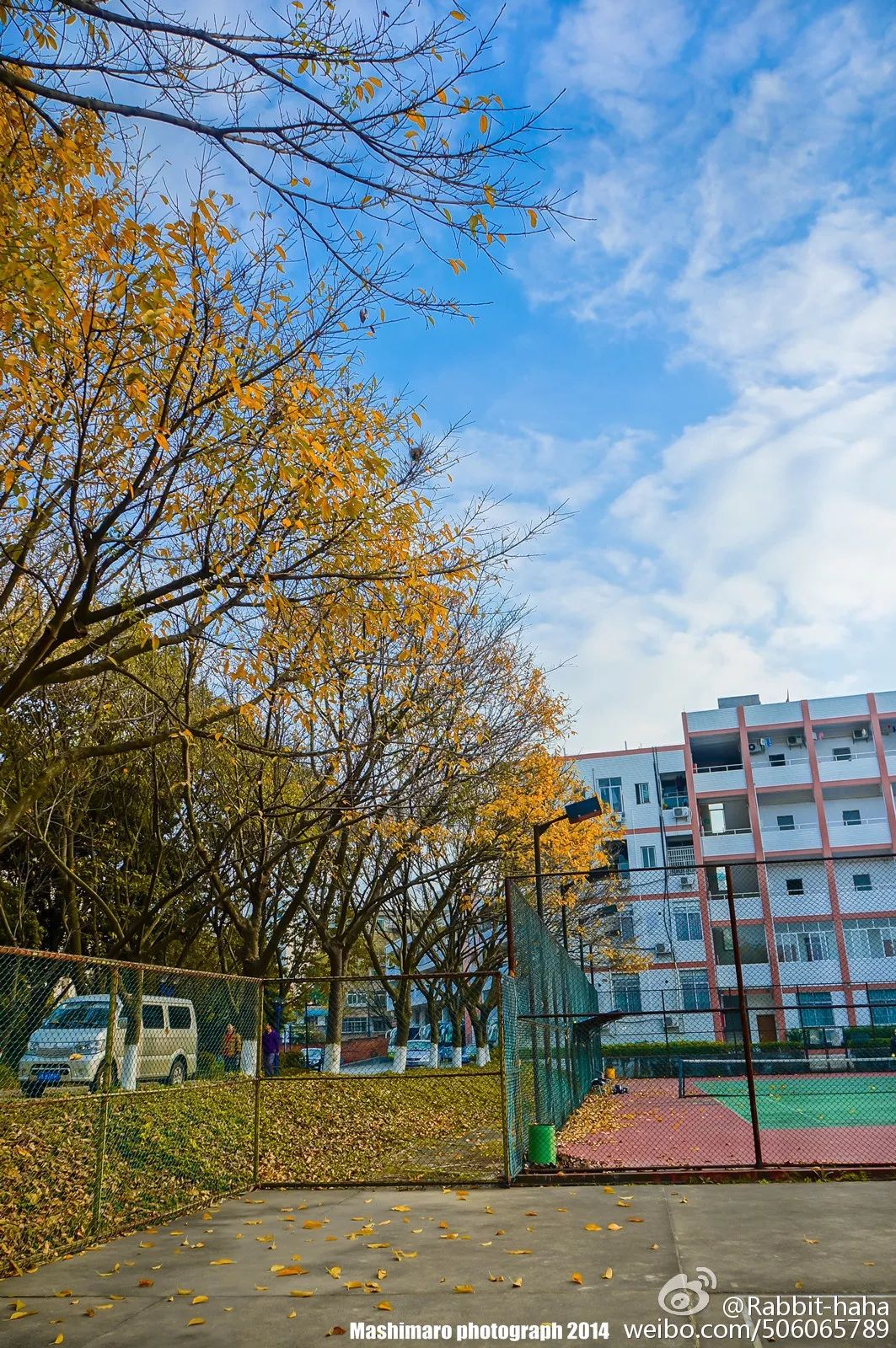 春暖花开是一年中最美丽的季节,春暖花开的季节享受大自然的美景