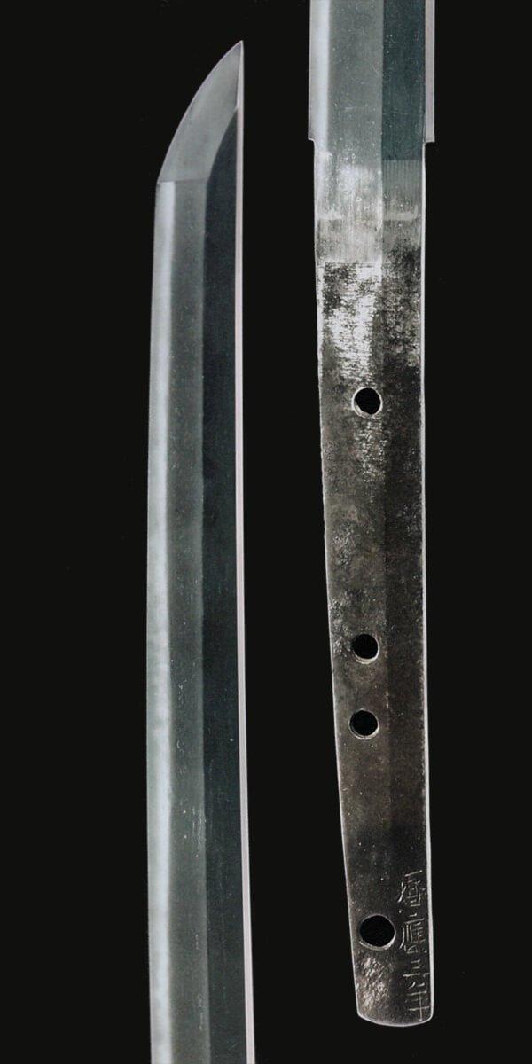 仁王大太刀武功,仁王太刀图片大全