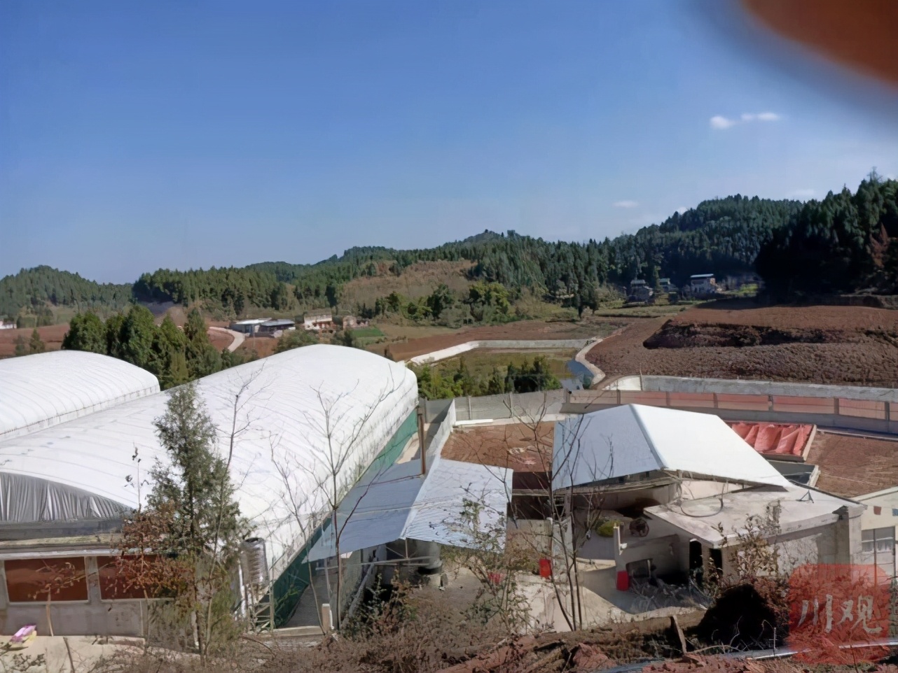 民情｜村民怒了！没签协议，南充部分村民家田地仍被出租给公司