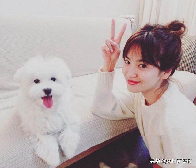 圆脸适合空气还是法式刘海,法式刘海和空气刘海有什么区别